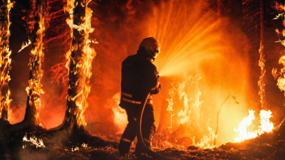 A lone firefighter seen with a hose, firing water towards burning trees.