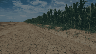 An area impacted by a severe drought.