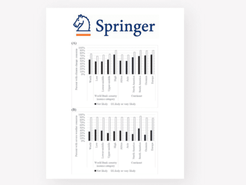 Springer Report Cover